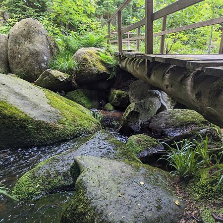 Waldgasthaus & Berghotel Steinerne Renne ヴェルニゲローデ エクステリア 写真