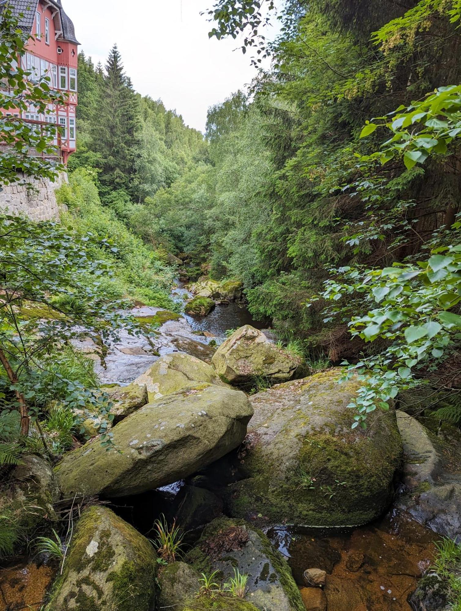 Waldgasthaus & Berghotel Steinerne Renne ヴェルニゲローデ エクステリア 写真