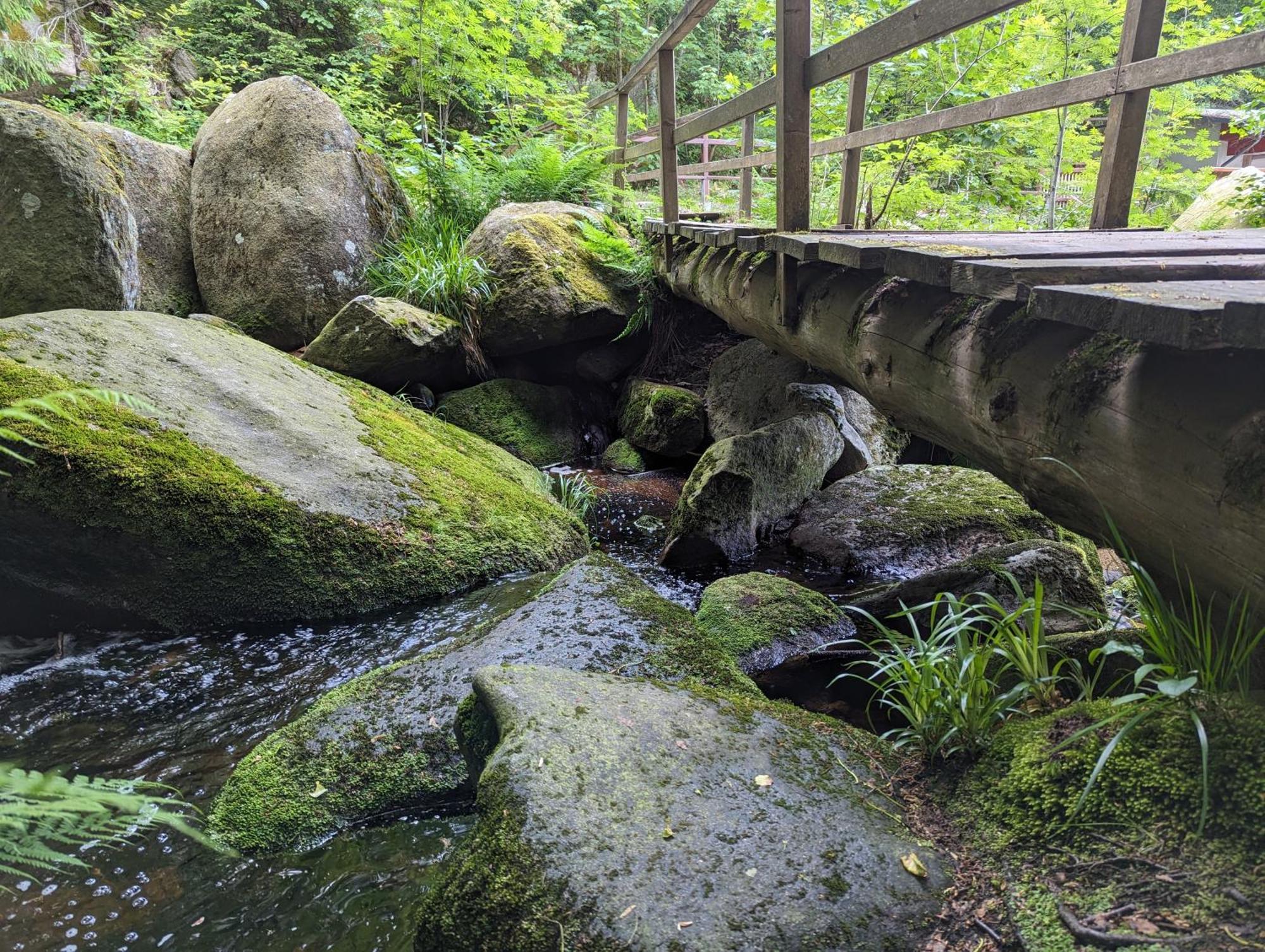 Waldgasthaus & Berghotel Steinerne Renne ヴェルニゲローデ エクステリア 写真